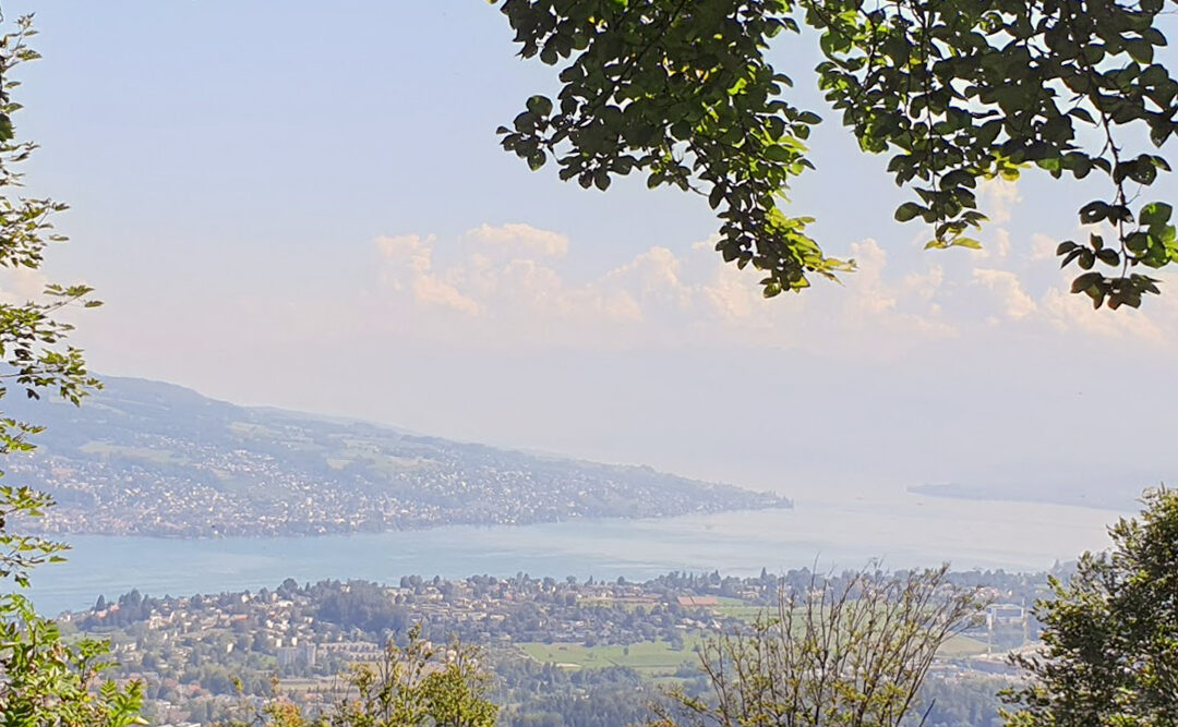 Blick über den Zürichsee